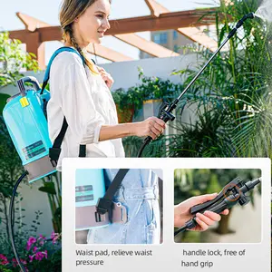 Sinleader Wholesale Garden 10L 12V Backpack Electric Sprayer For Irrigation