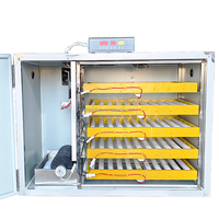 Prix pas cher Ouchen double alimentation AC220V & DC12V incubateur d'oeufs numérique