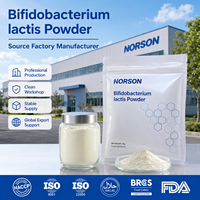 Bifidobacterium Lactis en Polvo Probiótico, Certificado ISO9001/Halal/Kosher, Grado Alimenticio, Suministro a Granel, Paquete de 1 kg, Inventario Paletizado