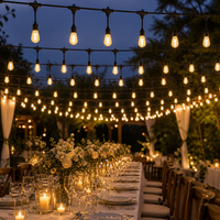 Guirlandes lumineuses LED directes usine IP65 nickelées 14,4 m 15 douilles E27 ampoules S14 G60 2700K blanc chaud pour jardin et véranda