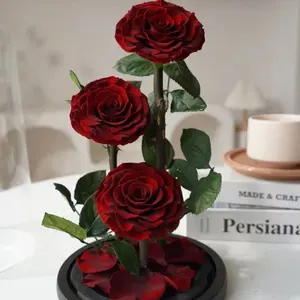 Mawar alami asli Belle mempesona Ibu Hari hadiah kotak dekorasi abadi abadi mawar abadi bunga yang diawetkan dalam kaca kubah LED