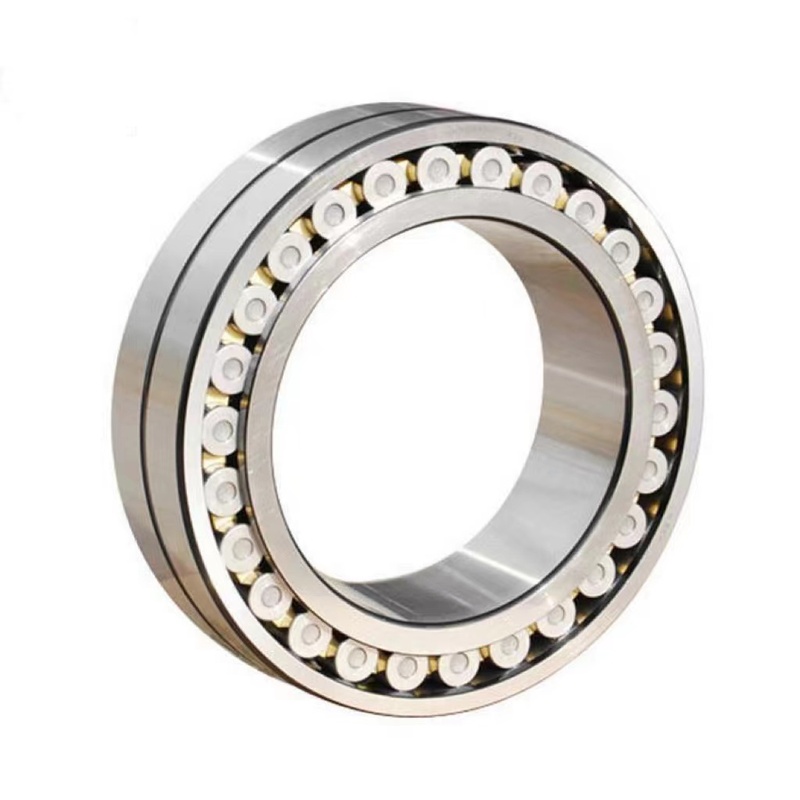 Double Row Corrosion Resistant Cylindrical Roller