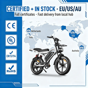 Bicicleta eléctrica QMHEEL S20 Pro con neumáticos anchos para todo terreno y asiento cómodo para importadores y distribuidores de bicicletas eléctricas. Almacén en la UE, EE. UU. y Australia. - Product Image 1