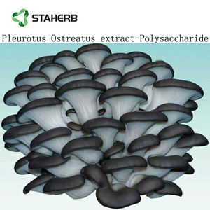 Экстракт бета-глюкана плеврута остреата, Экстракт устричных грибов - Product Image 2