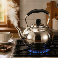 Bouilloire sifflante épaissie en acier inoxydable avec infuseur et design ajouré, compatible induction, pour la maison et l'extérieur, pour thé et café