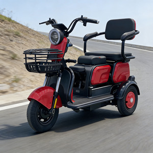 Triciclo Elettrico a 3 Ruote da 500W in Offerta Speciale, Due Posti, Carrozzeria Aperta, Autonomia 50-70km, per Anziani e Disabili, Scooter Elettrico a Tre Ruote - Product Image 2