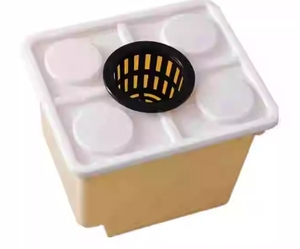 Un système de seau hydroponique néerlandais en plastique PP équipement d'aquaculture durable pour la culture de tomates, poivrons et concombres - Product Image 4