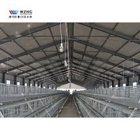 Structure en acier pour élevage avicole à grande échelle, conception de poulailler métallique pour l'élevage de poulets de chair, à vendre
