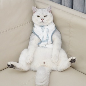 Chaleco para Gato de Algodón Puro Antidesprendimiento, Ropa para Mascotas para Todas las Estaciones, Estilo Conejito con Rayas Verdes - Product Image 1