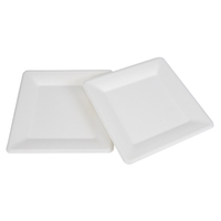 Assiettes jetables biodégradables écologiques carrées de 10 pouces, design moderne en bagasse de canne à sucre pour le camping et les restaurants