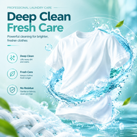 Détergent à lessive en poudre bon marché OEM/ODM |   Prix de gros pour la poudre à laver pour la distribution des importateurs 125g/250g/500g