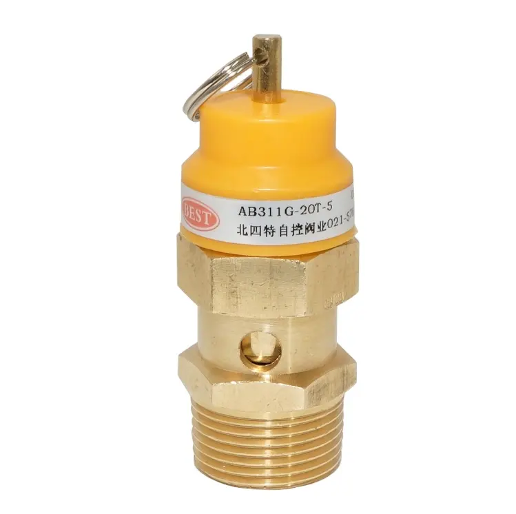 China factory valve supplier Micro opening Copper Brass Safety Relief Valve for air compressor
