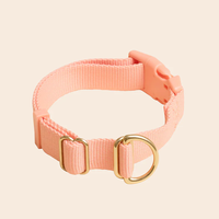 Collier de chien en polyester réglable de couleur pure, boucle en plastique de collier de chien tactique pour la randonnée et la marche en plein air