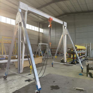 Aluminiumlegering elektrische motor portaalkraan met elektrische takel, tandwielkast en lager; hoofdbrug kan omhoog/omlaag worden gebracht - Product Image 2