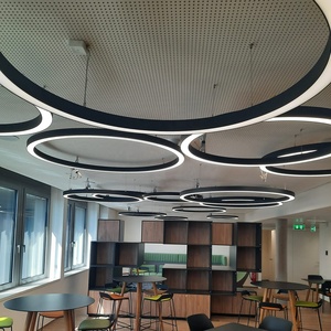 Lampe ronde personnalisée en forme de grande courbe, lumière linéaire, circulaire, ovale, plafond, anneau Led suspendu, cercle led, lustre moderne - Product Image 5