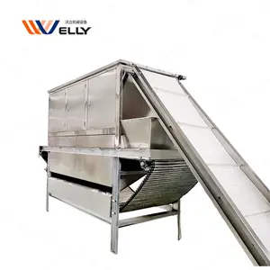 Chain Type Dry Garlic Peeling Machine Air Compressor Power Garlic Peeler Machine Price Garlic Skin Removing Machine