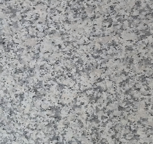 Tấm ốp tường ngoài trời bằng đá granite màu xám mè G602, kích thước 60*30cm - Tấm ốp tường ngoài nhà, gạch ốp ngoài trời
