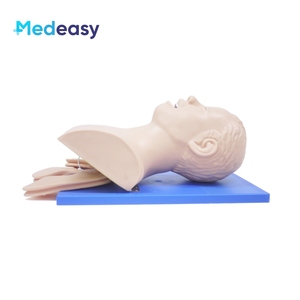 Maniquí de Entrenamiento <span class=keywords><strong>para</strong></span> Intubación Endotraqueal en Adultos, Modelo de Intubación de Vías Respiratorias - Product Image 5
