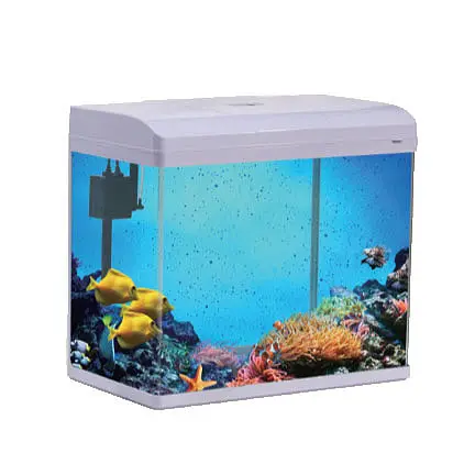 Groothandel Home Office Bar Versierd Fish Tank Glas Custom Betta Decoratie Fancy Sier Aquarium Fish Tank
