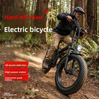 Bicicleta Eléctrica Todoterreno Resistente, 48V 700W, Neumáticos Anchos con Amortiguación, Plegable, para Adultos, con Asistencia al Pedaleo, E029