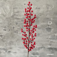 Simulatie Rode Kunststof Schuim Bloem Geluksvrucht Enkel Tak 3-12 Takken Ecologisch Hoogwaardig 10-20cm Emmer Huis