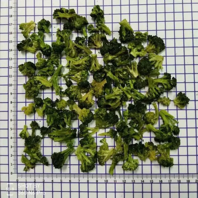 Congelare secchi broccoli germoglio di fiore