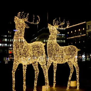 Пользовательские наружные рождественские украшения 3d мотив светодиодные фонари для наружного уличного украшения