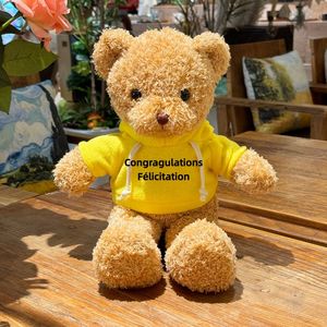 Aangepast Afstuderen Teddybeer Knuffels Met Bedrijfslogo 'S Zacht Polyester & Pp Katoen Vulling Verjaardagsdekbed - Product Image 6