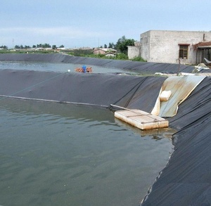 Tanque de peces de película de plástico de la Geomembrana - Product Image 5