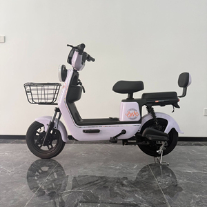 Bicicleta eléctrica con motor gratuito Fat 72V para triciclo Foshan Moter Dirt Carrier 700 Watt Super Power, con opción de pago a plazos en Italia. - Product Image 3