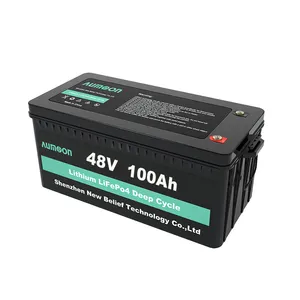 OEM Lifepo4 pil 12v 24v 36v 48v güneş pili 100ah 200ah otomatik şarj edilebilir lityum iyon Lifepo4 piller