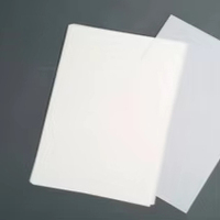 Película de Poliéster Esmerilada PET para Impresión Gráfica en Computadora, Resistente a Desgarros, para Ploter CAD, Papel de Calco para Ingeniería Wetac