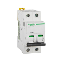 Disjoncteur miniature Schneider IC65N 2P C25A A9F18225 1P 3P 4P 400V AC 50Hz 6kA pour distribution électrique