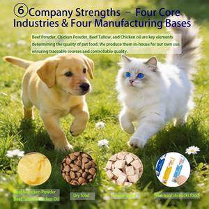Alimento Premium para Animais de Estimação <span class=keywords><strong>2026</strong></span>, Atacado OEM ODM, Ração Seca para Gatos com Alto Teor de Proteína para Ganho Muscular, Saco de 20kg, Ração Seca para Cães ODM OEM - Product Image 3