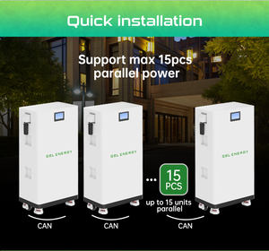 สำหรับแบตเตอรี่ลิเธียมไอออนฟอสเฟต (LiFePO4) แบบแยกส่วน 51.2V 300Ah 16KWh สำหรับระบบกักเก็บพลังงานแสงอาทิตย์ภายในบ้าน ระบบ CAN ขายดีที่สุดจากโรงงานในจีน - Product Image 4