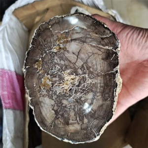 ไม้ฟอสซิลทรงกระบอกขัดเงาธรรมชาติ ขายส่ง หินไม้ฟอสซิลหยาบ ไม้กลายเป็นหิน - Product Image 2