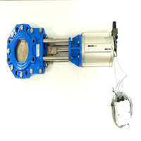 Actionneur linéaire Dlp-100-100-a-a23w60sw14 (539909) + Plaque de glissement |   Dn 100 PLC d'origine neuf sur site