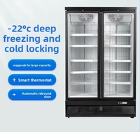 -22 ℃   Congélateur Commercial à Grande Capacité à Refroidissement par Air pour Viandes, Aliments Surgelés, Produits Frais, Durian et Glace à Congélation Rapide