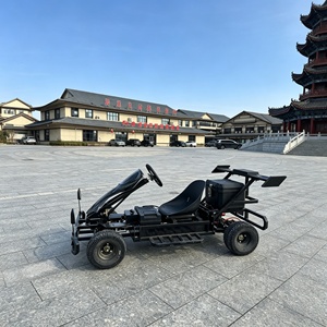 750W 48V Go-Kart for Adults with 20Ah Battery BLDC Motor Shaft Drive Buggy Outdoor Use 200kg Load 70km/h - Product Image 2