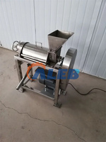 Roestvrijstalen Fruit Mengmachine Hoge Efficiëntie Kokosnoot Juicer