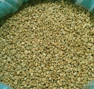 Arabica THA1 Mokka Specialty Green Coffee <b>Bean</b> 60kg Premium Chocolate Vanilla Spice Flavor Detech Coffee - Product Image 6