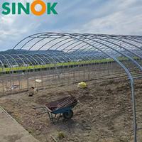 Serre tunnel Sinok à structure en acier galvanisé à simple travée avec film PE pour la culture de poivrons – Solution clé en main à faible coût