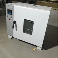 Four de séchage électrothermique 101-2A avec fenêtre d'observation carrée en verre pour laboratoire
