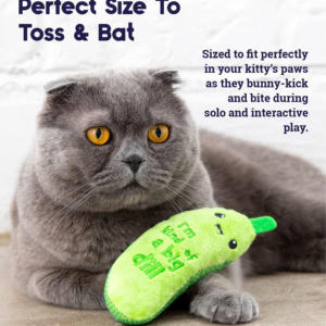 Nuovo giocattolo interattivo all'ingrosso di velluto peluche verde con erba gatta - Product Image 4