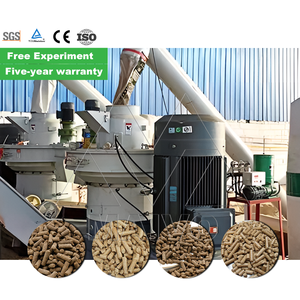 Machine à granulés de biomasse Ligne complète de production de granulés de bois Ligne de production de granulés de biomasse Prix - Product Image 6