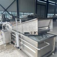 PLC-gestuurde 304 roestvrijstalen multifunctionele fruit- en groentesnij- en wasinstallatie voor vers gesneden groenten