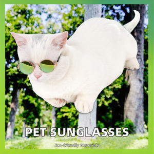 Lunettes de soleil écologiques pour animaux de compagnie LeQin en métal solide pour l'hiver, pour petits animaux - Product Image 4