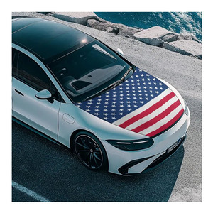 Giá rẻ chất lượng cao in Chiến Dịch Bầu Cử quốc gia thế giới tất cả các nước biểu tượng tùy chỉnh xe mui xe cờ hoặc xe gương cờ - Product Image 6