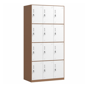 Chất Lượng Cao Công Cộng Đồ Nội Thất Huy Chương 12-Cửa Tủ Kim Loại <span class=keywords><strong>Locker</strong></span> Sinh Viên Ký Túc Xá <span class=keywords><strong>Locker</strong></span> Với Khóa Và Chìa Khóa Cho Doanh số Bán Hàng - Product Image 6