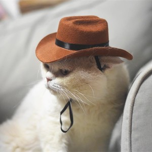 Chapeau de cowboy western pour animaux de compagnie, ensemble collier et bandana |   Accessoire de déguisement amusant pour chat et chien, idéal pour Halloween et Noël - Product Image 6
